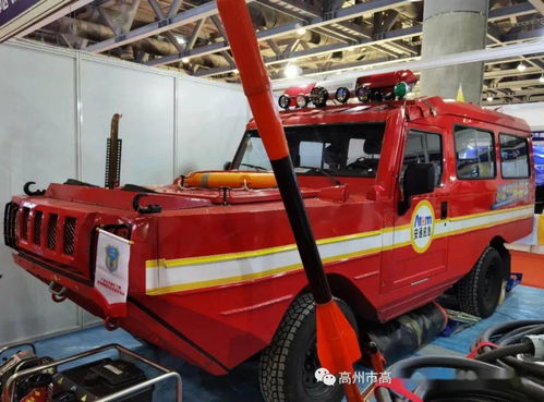 高州一支队伍代表茂名,受到省应急厅长接见和高度赞许