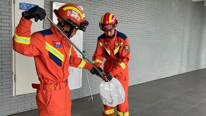 洋浦一学校出现菜花蛇 消防员迅速出动捕获