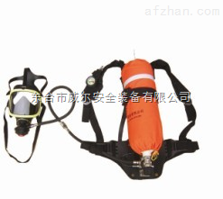 威尔品牌自给式空气呼吸器-东台市威尔安全装备
