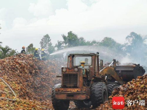 浓烟滚滚 文昌一椰棕制品厂着火,消防人员3小时奋战救援