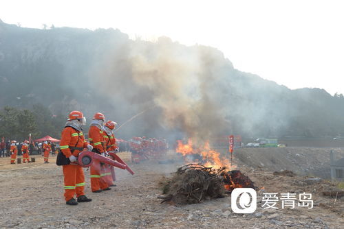 青岛举办森林防灭火应急救援演练,一批高科技消防装备产品首次亮相