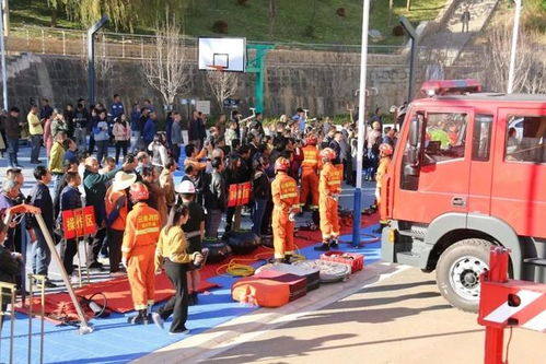 场面这么大,究竟有什么吸引了这么多人