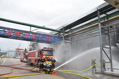 萧县消防救援大队圆满完成特种设备火灾事故应急救援演练工作